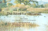 The need for Wetlands
