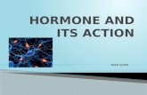 Hormone and its action