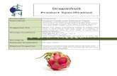 DRAGONFRUIT product specification (sunny field)
