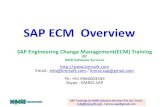SAP Engineering Change Management(ECM)