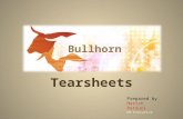 Bullhorn Tearsheets PPT