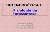 Bioenergética II - Fisiologia da Fotossíntese  - Aulas 35 e 36