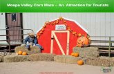 Moapa Valley Corn Maze – An  Attraction for Tourists