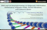 Dr. Carlo Ventura - DNA and Cell reprogramming