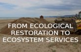 From ecological restoration to ecosystem services in urban beaches