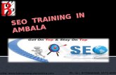 Seo  Training  In  Ambala! Batra computer centre