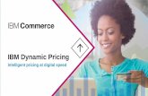 Dynamic pricing client presentation final jan 2016