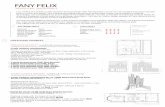 FANY FELIX CURRICULUM VITAE&SAMPLES 2016