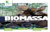Biomassa uit Natuur & Landschap