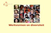 Powerpoint Werkvormen en diversiteit (ppt)