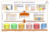 Petrolook Dataflow Diagram