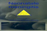 Brochure Neonatale meningitis (2006)