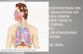 Diagnosis of Upper and Lower Respiratory Tract Infections