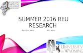 Summer 2016 REU Research Presentation