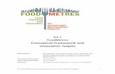 FoodMetres Conceptual Framework and Innovation Targets