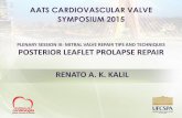 MITRAL VALVE REPAIR TIPS AND TECHNIQUES Posterior Leaflet ...