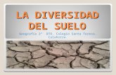 La diversidad de los suelos españoles