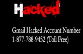 Usa gmail hacked 1 877-788-9452