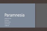 Presentation for Paramnesia