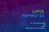 Lupus nephritis 2016