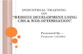 PPT on web development & SEO