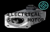 Electric Servo Motor