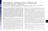 Maintenance of adenomatous polyposis coli (APC)-mutant ...