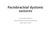 Faciobrachial dystonic seizures
