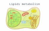 Lipids metabolism in plants