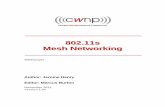 802.11s mesh networking v1.0