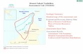 Brunei-Sabah Turbidites Assessment Unit 37010102