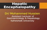 Hepatic encephalopathy by Dr: Mohammed Hussien Ahmed