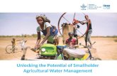 Unlocking the Potential of Smallholder Agricultural Water Management