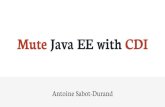 Mute Java EE DNA with CDI