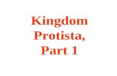 Kingdom Protista, Part 1