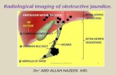 Presentation1.pptx, radiological imaging of obstructive jaundice.