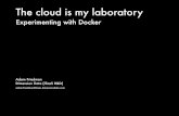 The cloud is my laboratory, Adam Friedman