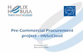 Pre-Commercial Procurement -  HNSciCloud