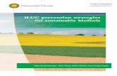 ILUC prevention Strategies for Sustainable Biofuels 20150402_Romania