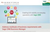 Sage CRM Business Manager