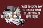 Want To Know How To Control Spider Infestations At Your Home?