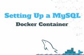 Setting up a MySQL Docker Container
