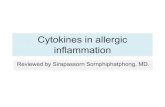 Cytokines in allergic inflammation