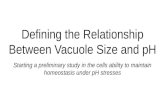Defining the Relationship Between Vacuole Size and pH (1)