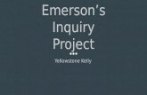 Emerson's Yellowstone Kelly