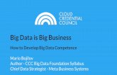 Big Data is Big Business: How to Develop Big Data Competence