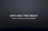 WiFi and the Beast