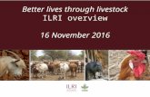 Better lives through livestock: ILRI overview