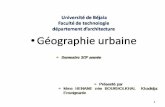 Géographie urbaine (Séminaire)