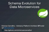 Schema Evolution for Resilient Data microservices